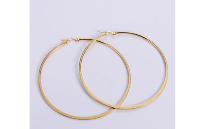 1 Pair Simple Style Solid Color Plating Stainless Steel Hoop Earrings