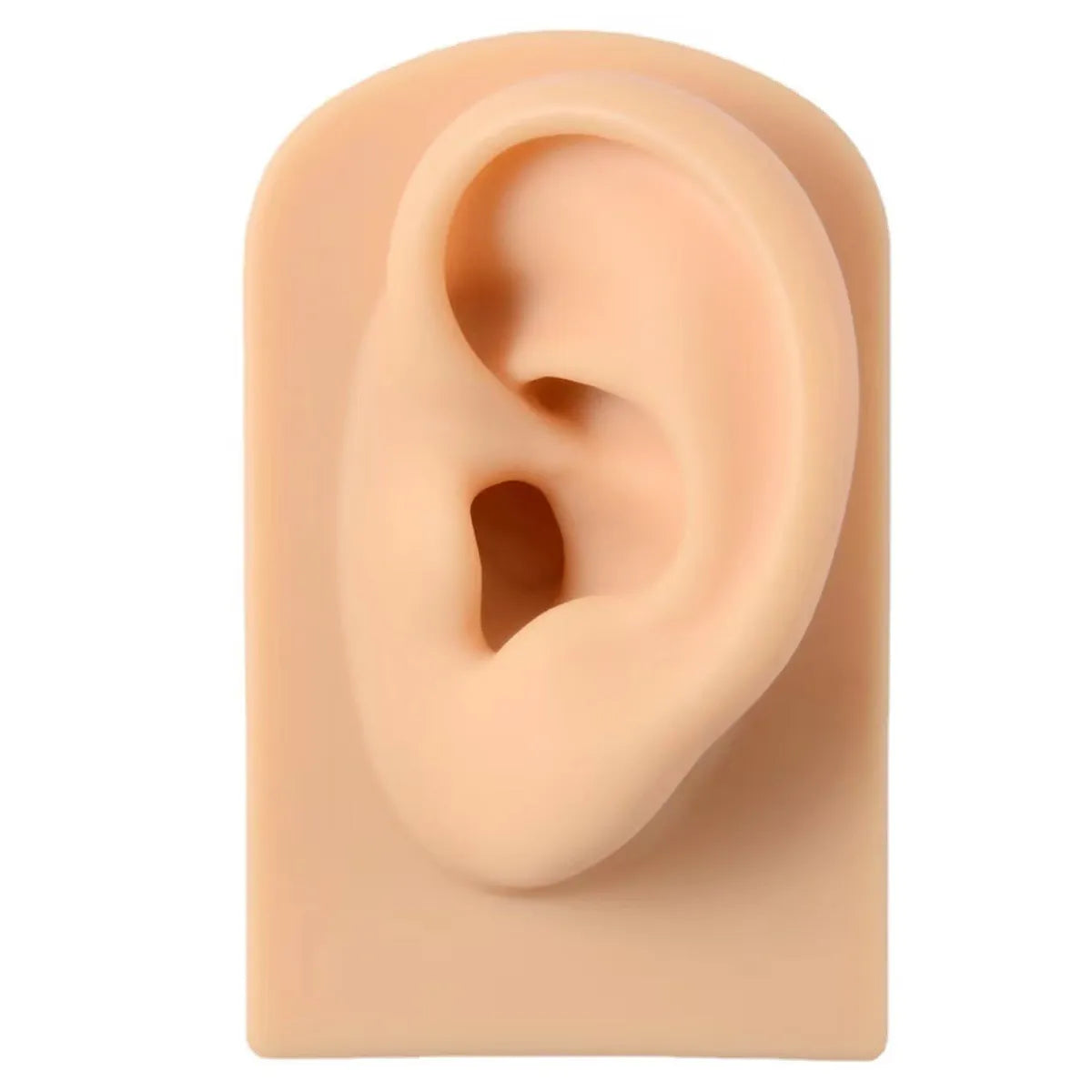 Casual Simple Style Ear Silica Gel Jewelry Display