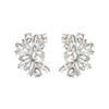 Exaggerated Geometric Fan-Shaped Transparent Rhinestone Earrings