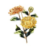 Fashion Flower Alloy Sequins Women'S Brooches