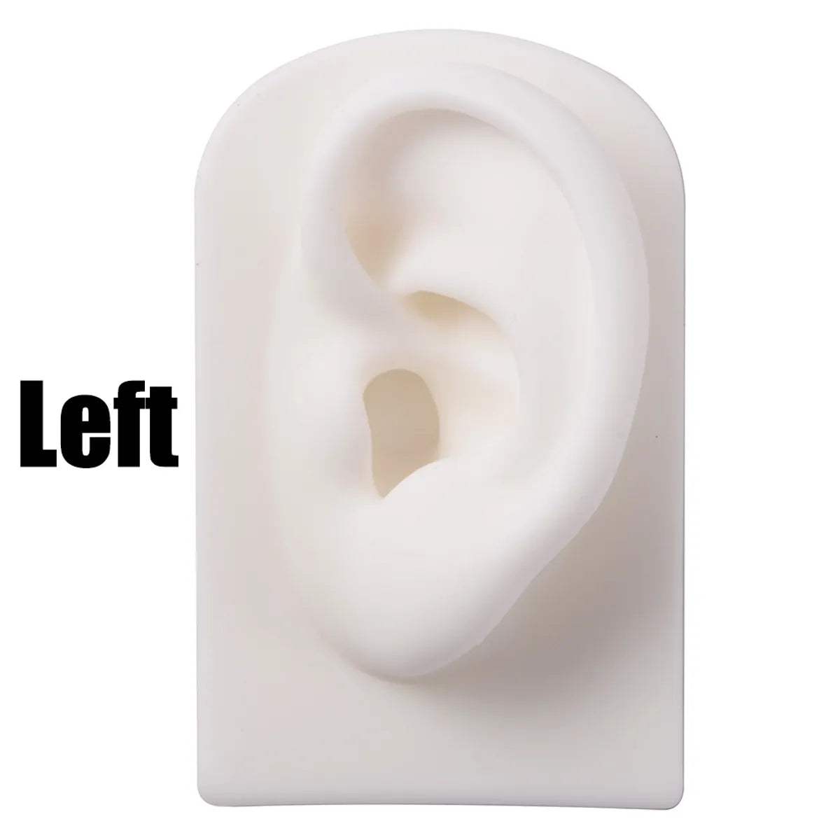 Fashion Rectangle Arylic Silica Gel Simulation Ear Model