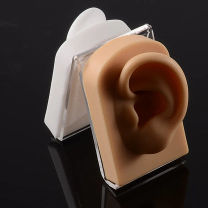 Fashion Rectangle Arylic Silica Gel Simulation Ear Model