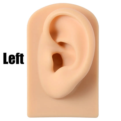 Fashion Rectangle Arylic Silica Gel Simulation Ear Model