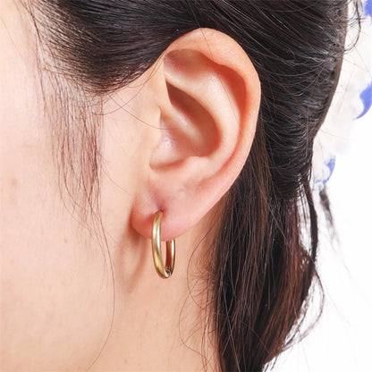 1 Piece Geometric Stainless Steel Plating No Inlaid Earrings