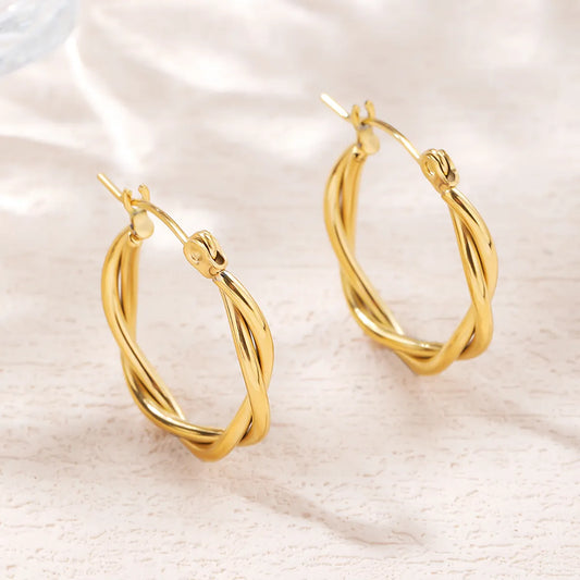 Fashion Twist Titanium Steel Earrings Plating Stainless Steel Earrings