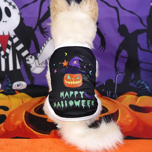 Halloween Skull Pet Clothes Puppy Dog Pumpkin Bucket Black New Cross-Border Cat Pet Costume Pumpkin Ghost