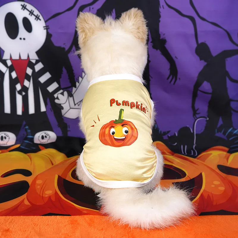 Halloween Skull Pet Clothes Puppy Dog Pumpkin Bucket Black New Cross-Border Cat Pet Costume Pumpkin Ghost