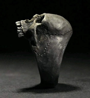 Hip-Hop Punk Streetwear Skull Alloy Plating Men'S Rings