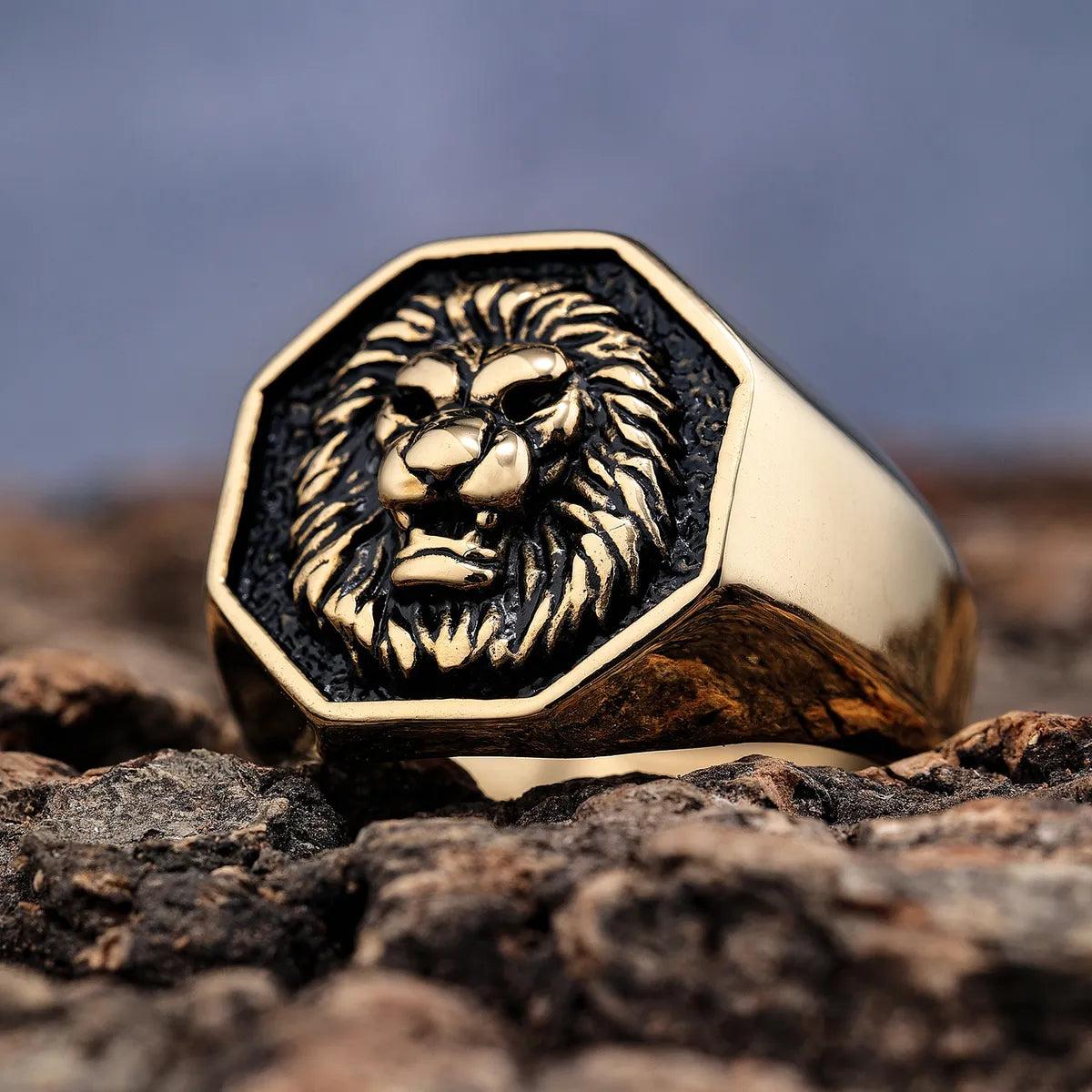 Hip-Hop Streetwear Lion Solid Color 304 Stainless Steel Men'S Rings