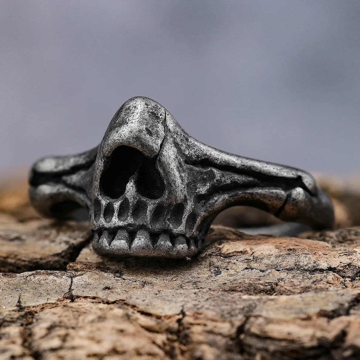 Hip-Hop Streetwear Skull 304 Stainless Steel Carving Men'S Rings