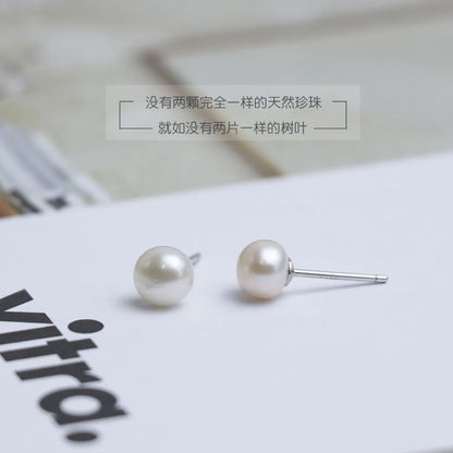 Korean Version Pearl Earrings Cupronickel Temperament Pearl Ear Jewelry Wholesale