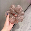 Large Organza Large Intestine Hair Ring ~ Ins Korean Style Fairy Hair Rope Mesh Bm Pig Large Intestine Ring Hair Accessories Hair Rope