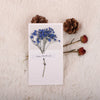 Valentine'S Day Romantic Dried Flower Starry Sky Paper Date Festival Card