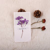 Valentine'S Day Romantic Dried Flower Starry Sky Paper Date Festival Card