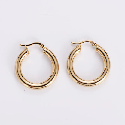 Simple Style Geometric Stainless Steel Plating Earrings 1 Pair