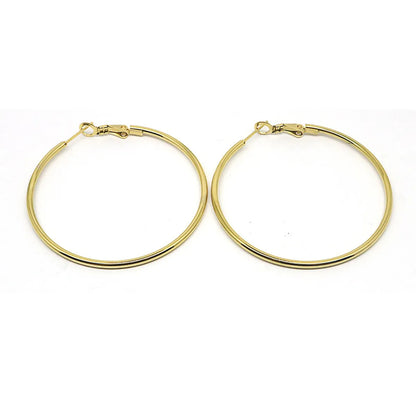 1 Pair Simple Style Geometric Plating Stainless Steel Earrings