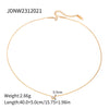 Stainless Steel IG Style Simple Style Round Plating Inlay Zircon Necklace