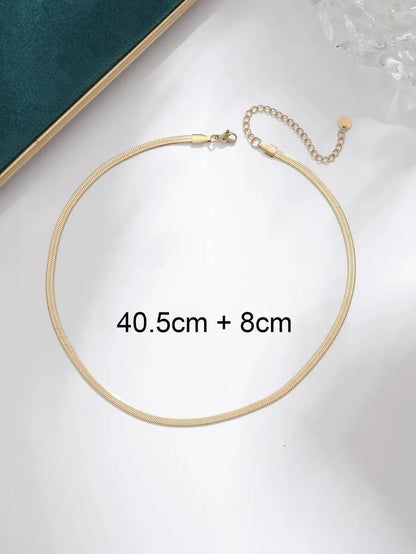 Stainless Steel Simple Style Classic Style Solid Color Necklace