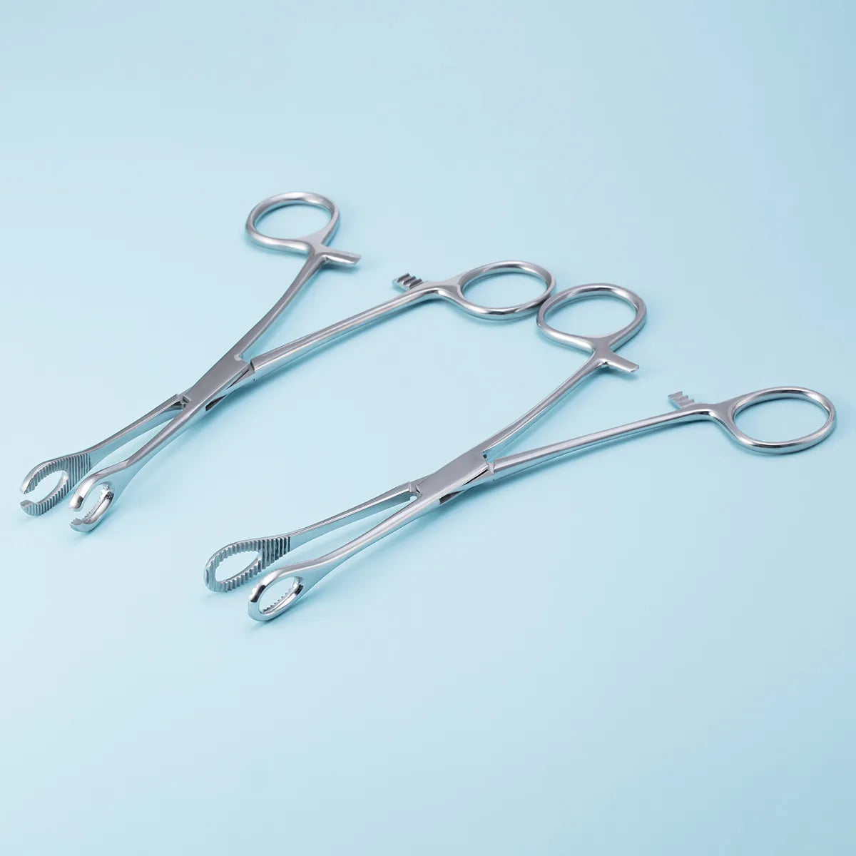 Stainless Steel Small Circular Curved Triangular Closed Body Puncture Forceps