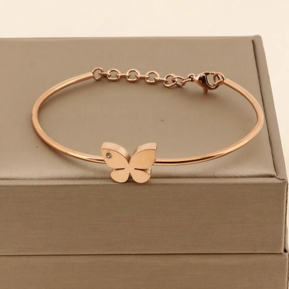 Titanium Steel Simple Style Butterfly Bangle