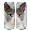 Unisex Casual Cute Cat Polyester Cotton Printing Crew Socks A Pair