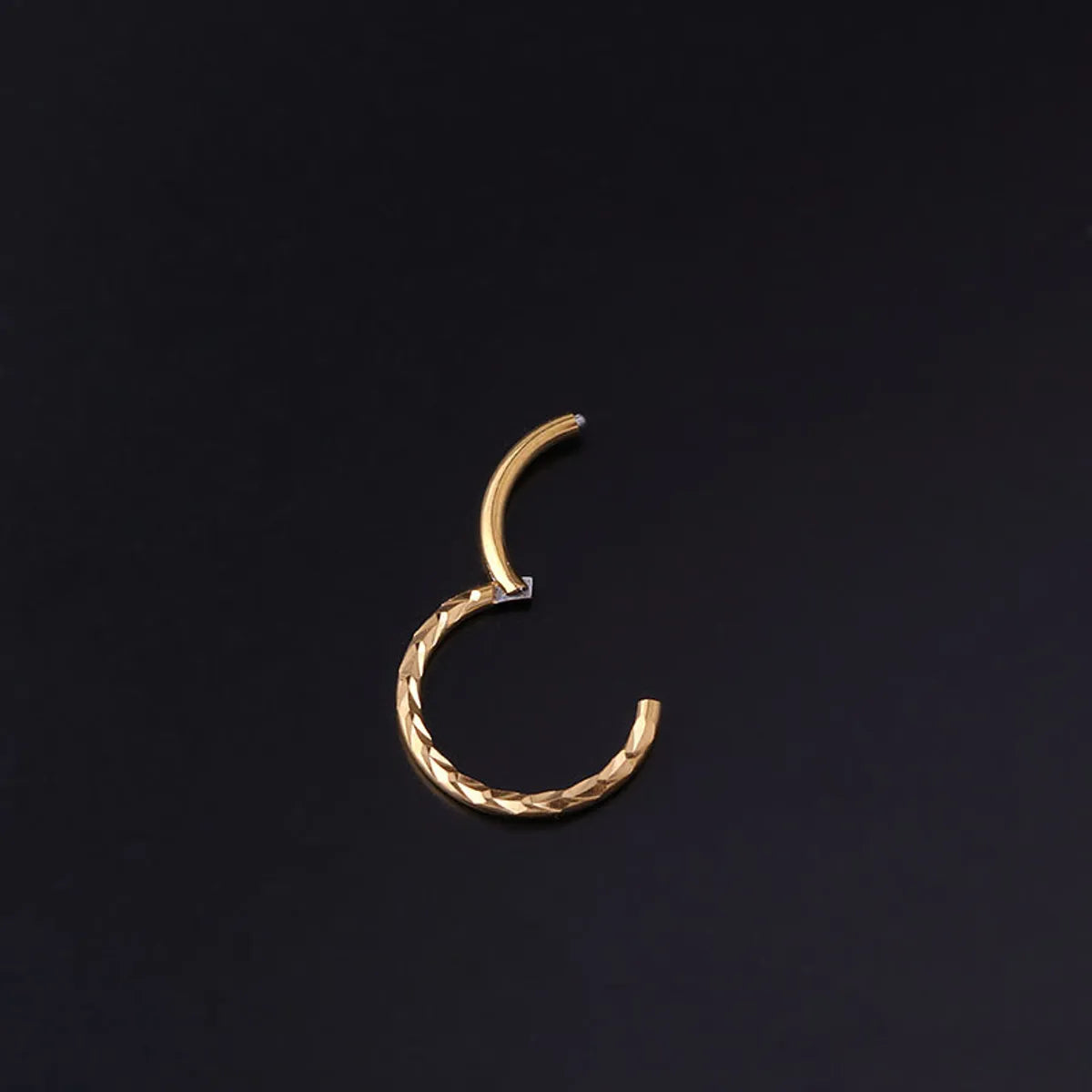 Fashion Circle Stainless Steel Metal Plating No Inlaid Nose Ring