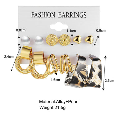 Vintage Creative Multi-layer Leopard Print C-shaped Earrings Set 6 Pairs Earrings Wholesale