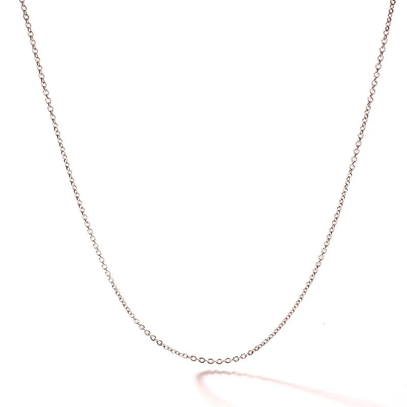 Wholesale Jewelry Casual Simple Style Solid Color Titanium Steel Necklace