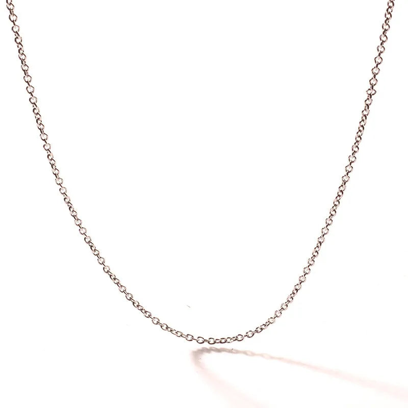 Wholesale Jewelry Casual Simple Style Solid Color Titanium Steel Necklace