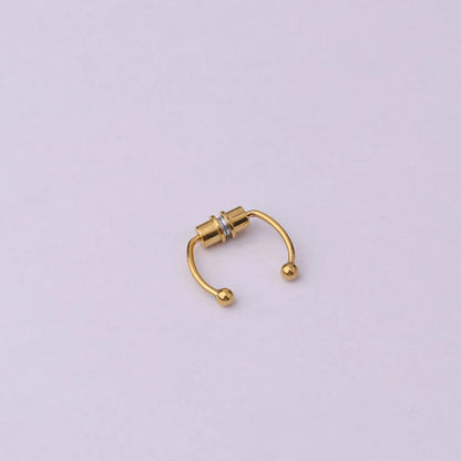 Nose Rings & Studs Fashion Geometric 316 Stainless Steel  Plating