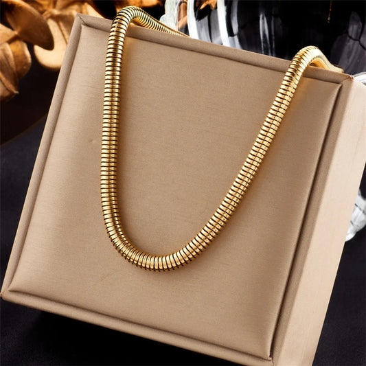 Wholesale Jewelry Simple Style Classic Style Solid Color Titanium Steel Plating Necklace