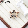 Women'S Basic Star Alloy Acetic Acid Sheets Hollow Out Hair Clip