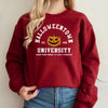 Women'S Hoodie Long Sleeve Hoodies & Sweatshirts Printing Streetwear Letter