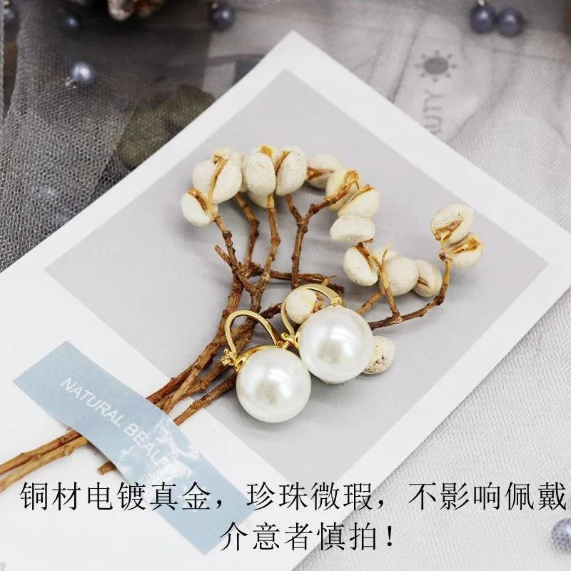 Womens Other Beads Earrings  Natural Stone Beads Earrings Om190419118283