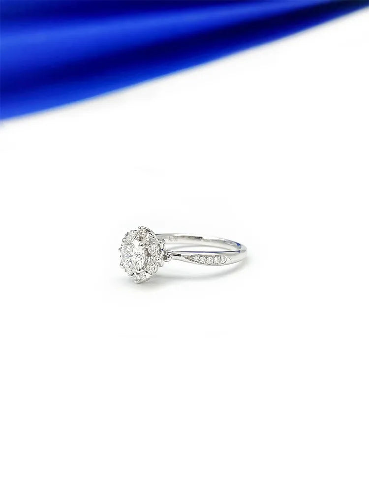 Round Diamond Encircling Main Stone 0.54ct Auxiliary Stone 0.26ct24p Total Weight 3.27G